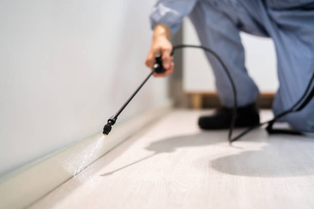 Licensed Pest Control service in San Marcos, TX - Show Me Pest Control
